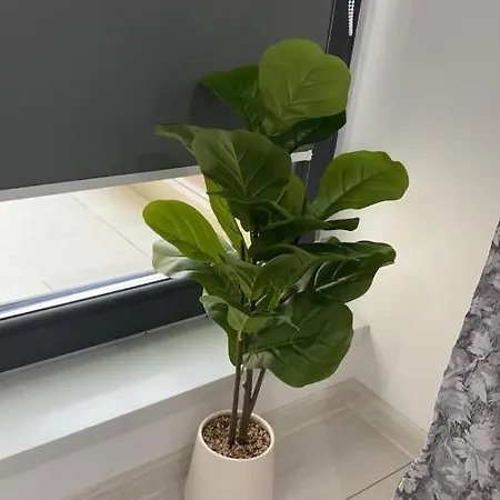 - Drumul Taberei Parc Бухарест