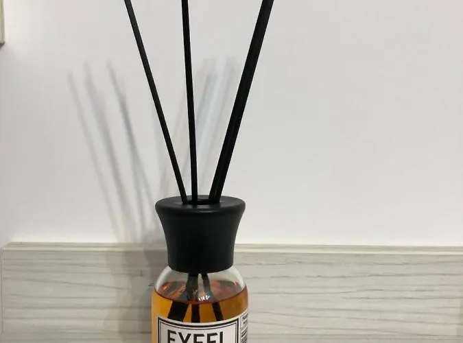 - Drumul Taberei Parc * Бухарест