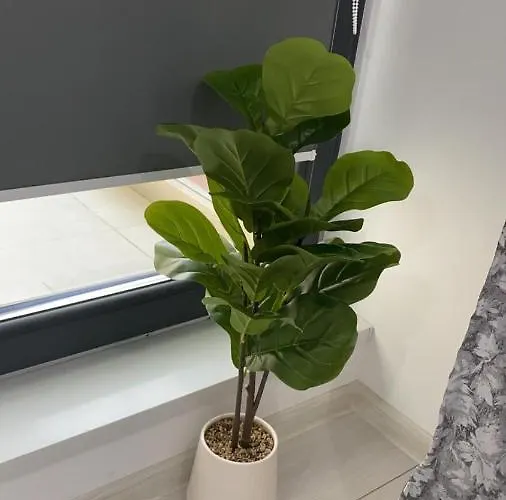 - Drumul Taberei Parc Bucareste